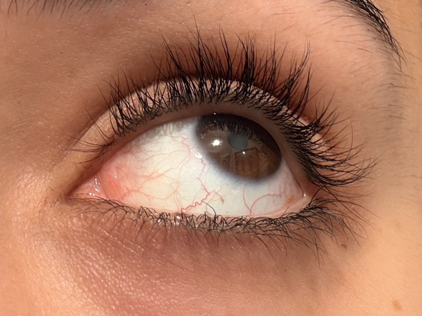 Lashes after three weeks of Orya